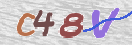 Obraz CAPTCHY