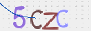 Obraz CAPTCHY