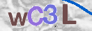 Obraz CAPTCHY