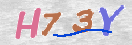 Obraz CAPTCHY