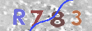 Obraz CAPTCHY