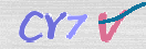 Obraz CAPTCHY