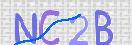 Obraz CAPTCHY