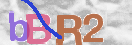 Obraz CAPTCHY