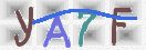 Obraz CAPTCHY