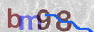 Obraz CAPTCHY