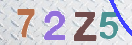 Obraz CAPTCHY