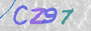 Obraz CAPTCHY
