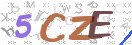 Obraz CAPTCHY